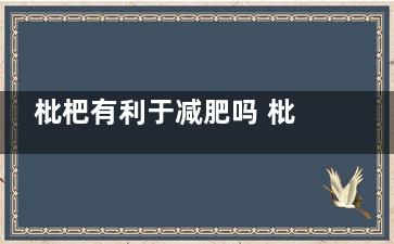 枇杷有利于减肥吗 枇杷对减肥有作用吗(枇杷和苹果哪个有利于减肥)